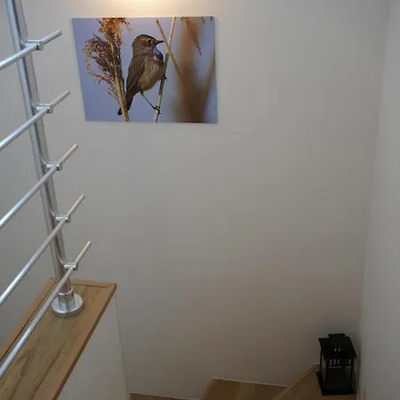 Apartamento Rodinný apartmán Čistá